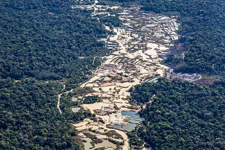 Candidatos do garimpo: o potencial eleitoral da exploração da Amazônia