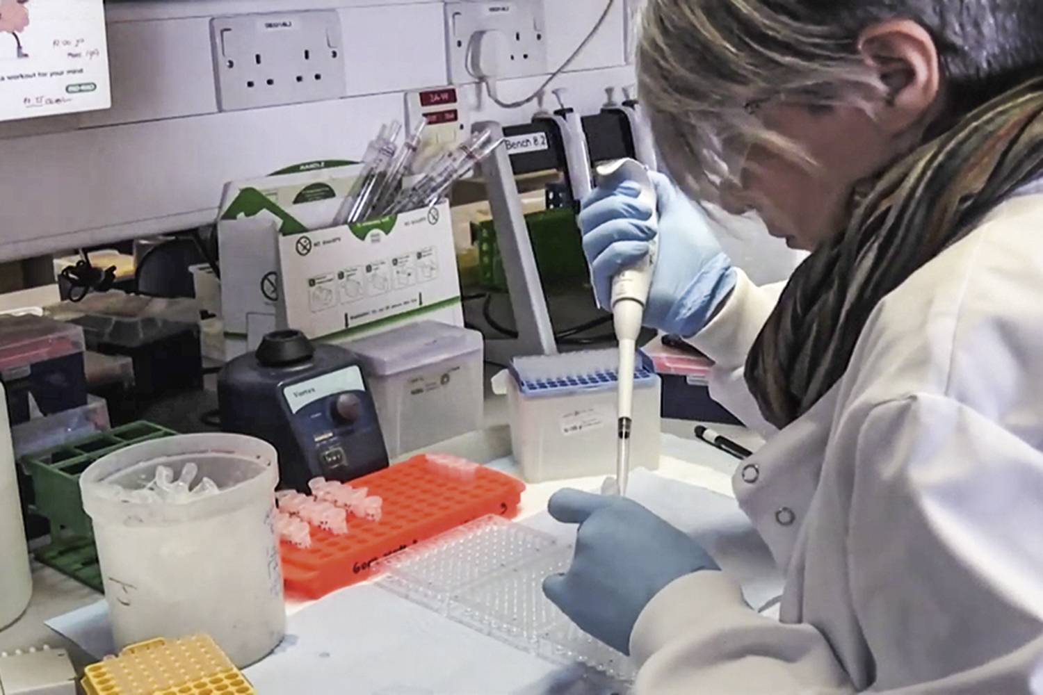 “O estudo deve continuar”, diz Oxford sobre testes da vacina no Brasil