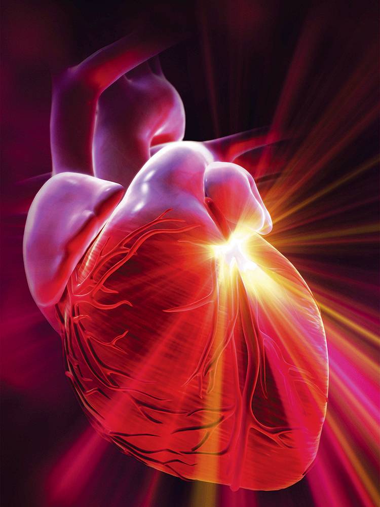 Evitar 30% das mortes por parada cardíaca está em nossas mãos