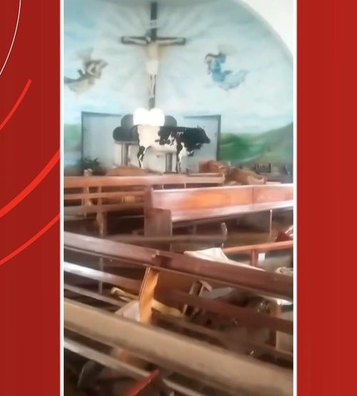 Inundações em Taquari, RS: Boi é Descoberto Dentro de Igreja Após Cheia do Rio
