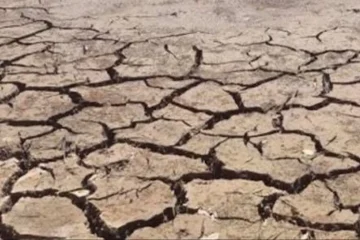 Estiagem no Rio Grande do Sul se Agrava e Número de Municípios em Emergência Aumenta