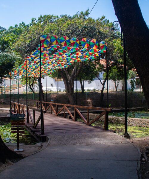 Olinda Dá Gosto vira refúgio gastronômico no meio da folia