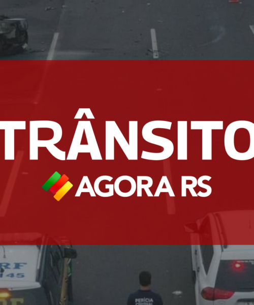 Acidente fatal na ERS-118: idoso perde a vida em Viamão