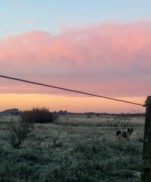 Rio Grande do Sul registra frio intenso com temperaturas abaixo de zero pelo quarto dia consecutivo