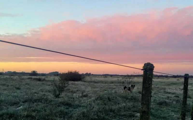 Rio Grande do Sul registra frio intenso com temperaturas abaixo de zero pelo quarto dia consecutivo
