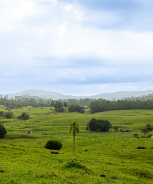 Temperaturas abaixo de zero marcam a quarta-feira (20) no Rio Grande do Sul