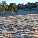 Temperaturas negativas marcam o início do dia em várias cidades do Rio Grande do Sul