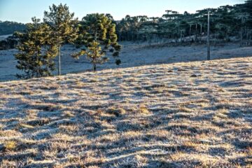 Temperaturas negativas marcam o início do dia em várias cidades do Rio Grande do Sul