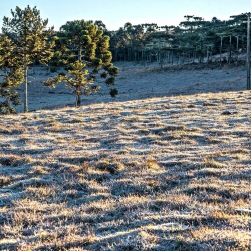 Temperaturas negativas marcam o início do dia em várias cidades do Rio Grande do Sul