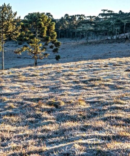 Temperaturas negativas marcam o início do dia em várias cidades do Rio Grande do Sul