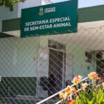 Nove acusados de eutanásia ilegal de animais em Canoas são formalmente processados pela Justiça