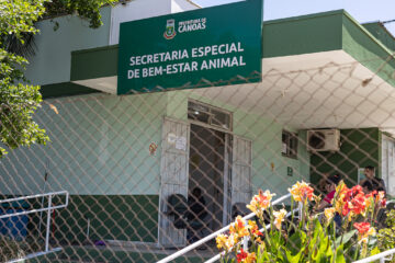 Nove acusados de eutanásia ilegal de animais em Canoas são formalmente processados pela Justiça