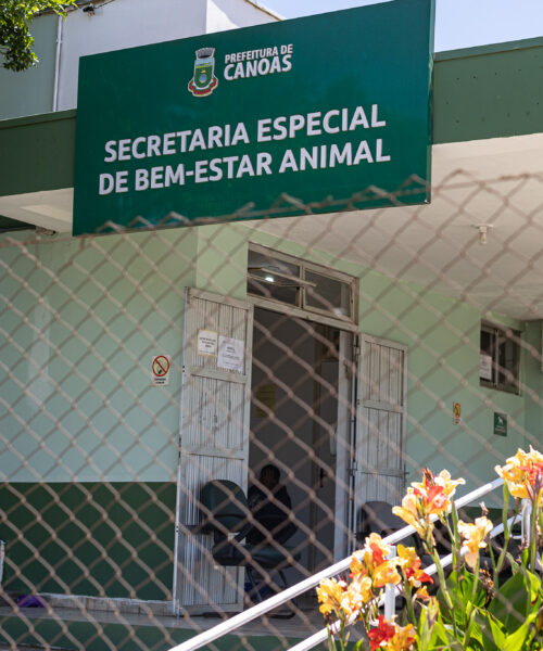 Nove acusados de eutanásia ilegal de animais em Canoas são formalmente processados pela Justiça