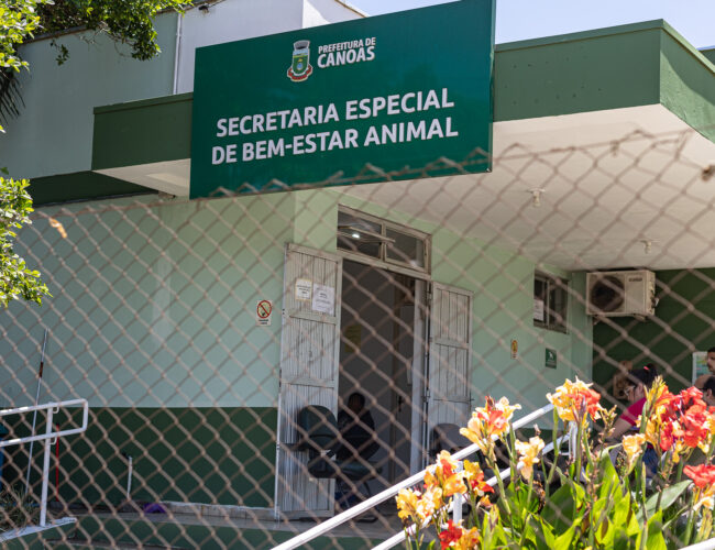 Nove acusados de eutanásia ilegal de animais em Canoas são formalmente processados pela Justiça